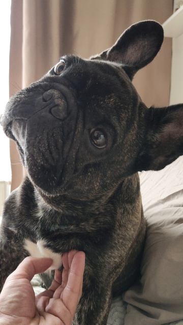 когда НУ ОЧЕНЬ ВНИМАТЕЛЬНО СЛУШАЕШЬ!