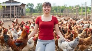 Продаю курей, гусей и рыбу на сельском рынке. Фуонг. Жизнь во Вьетнаме