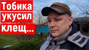 Печём хлеб СССР/Обрабатываем сад/Лечим щенка