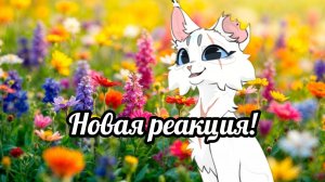 Реакция на Блёсточку кв! Сью или нет?