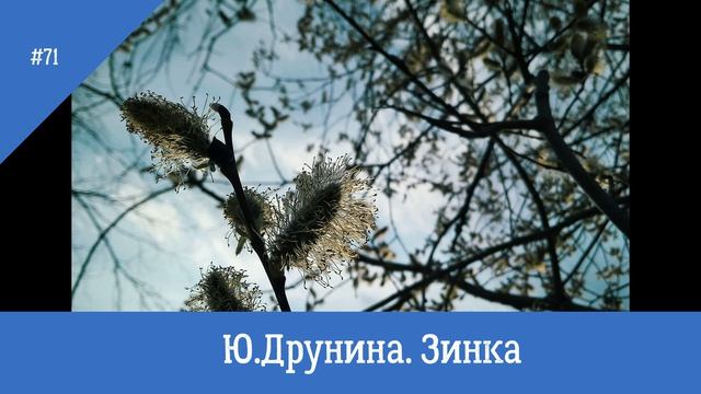 Ю. Друнина. Зинка
