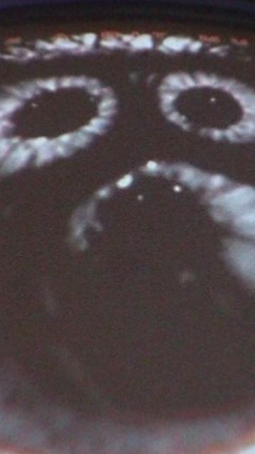 Многогранный гастропаб-ресторан в стиле лофт в Красногорске