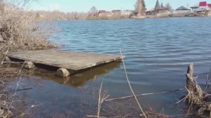 #Михалыч 😃Прибыл на дачу🚙