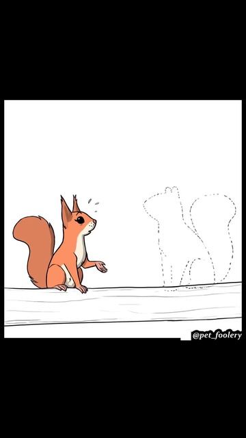 Лютые мемы. Злая белка