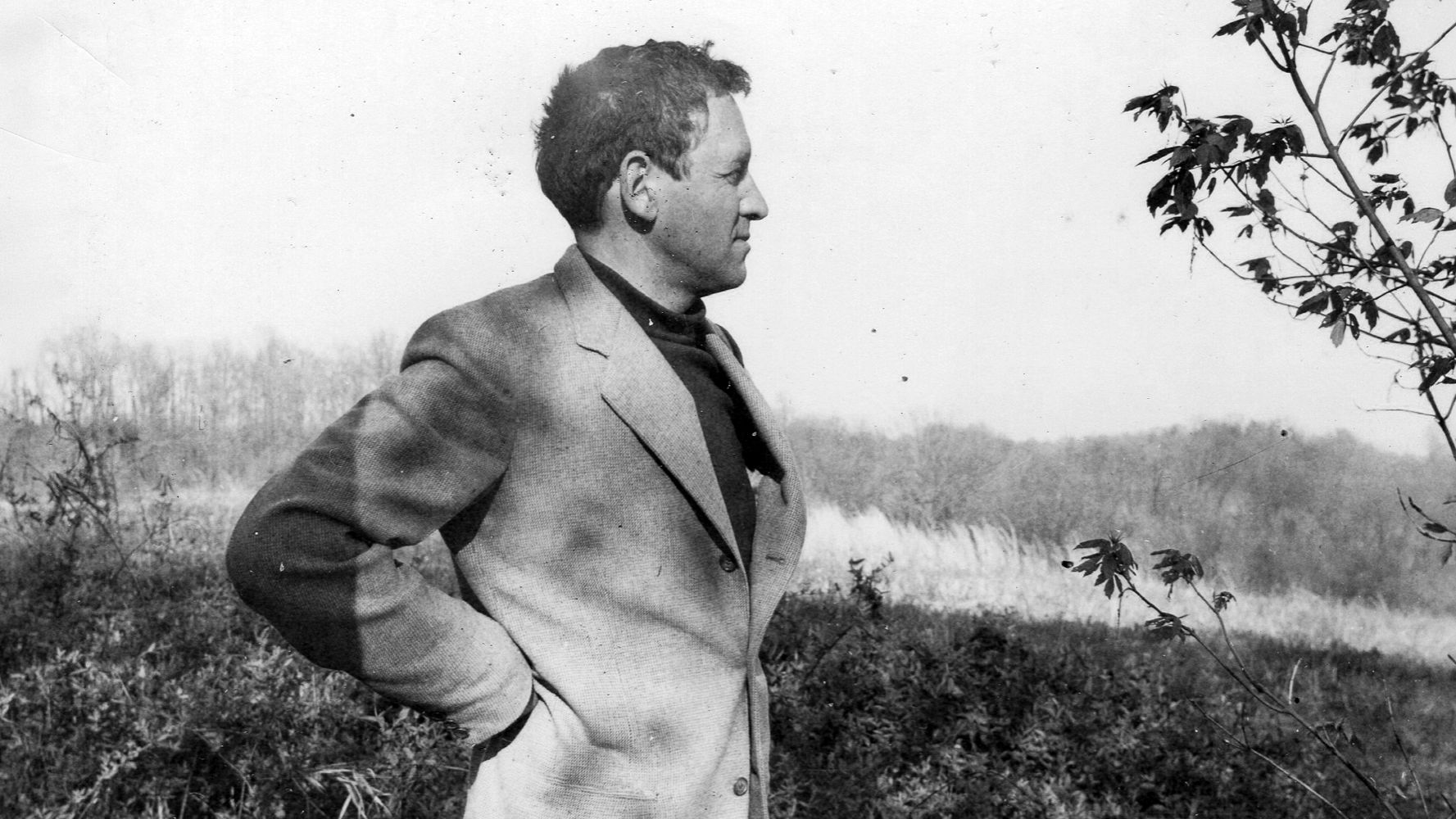 Мир Эндрю Уайета 2018. Трейлер