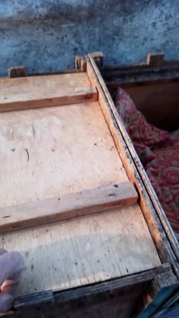 3 апреля 2026 г.Георгий готовит свой улей к взятку с липы.