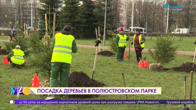 Посадка деревьев в Полюстровском парке