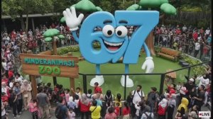 ЧТО ПРОИСХОДИТ КОГДА БРЕЙНРОТЫ ПАДАЮТ В ЗООПАРКЕ? МУЛЬТИК ДЛЯ ДЕТЕЙ | МУЛЬТИКИ ДЛЯ МАЛЫШЕЙ. музыка