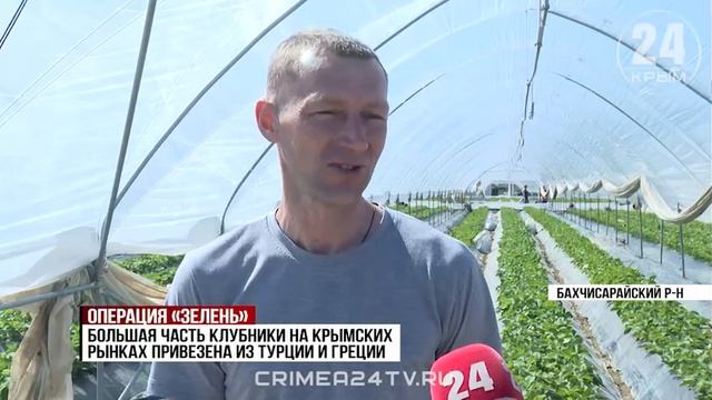 Как некоторые продавцы клубники пытаются обмануть покупателей в Крыму?