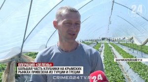 Как некоторые продавцы клубники пытаются обмануть покупателей в Крыму?