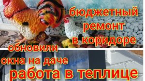 Бюджетный ремонт в коридоре/Обзор садовых друзей/Саша обновил окна/Работа в теплице