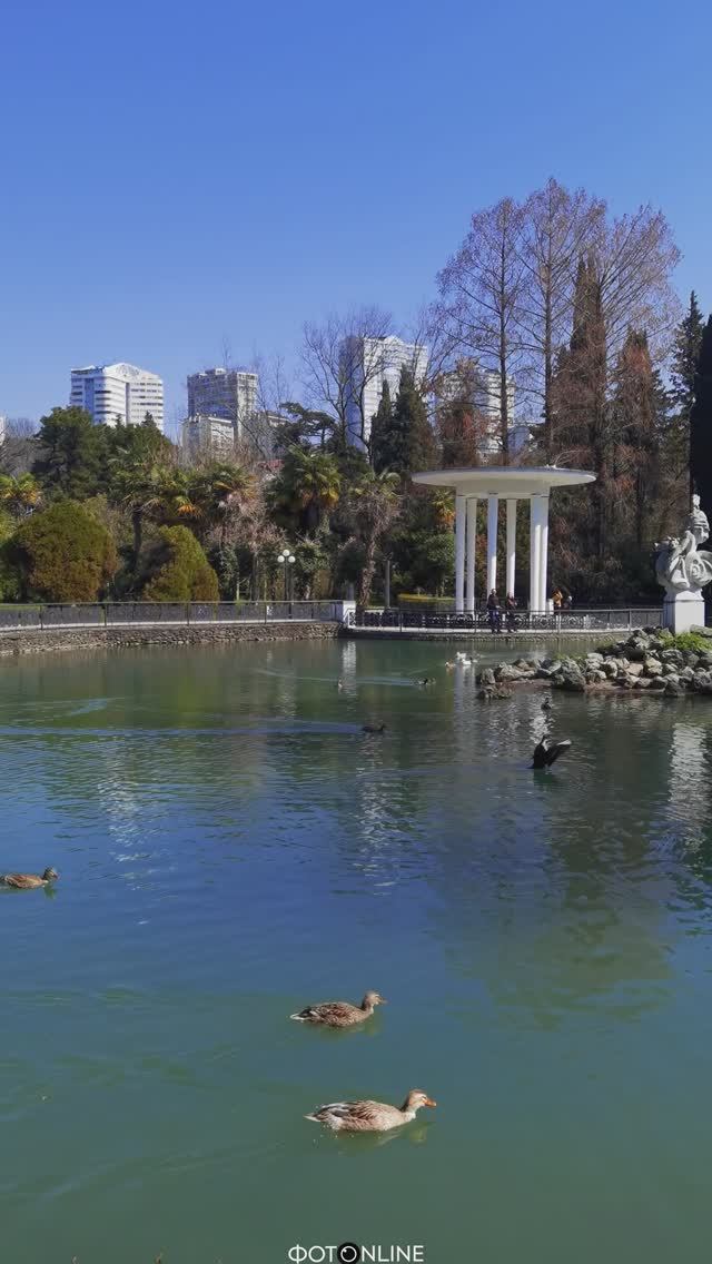 Нижний дендрарий, Сочи. Март 2026