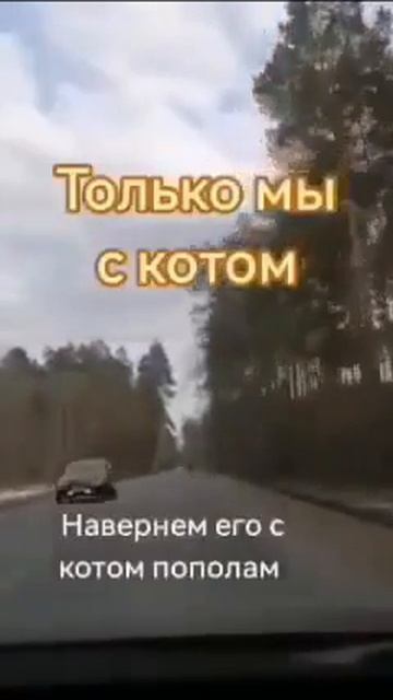 video_2026-04-16_13-46-01