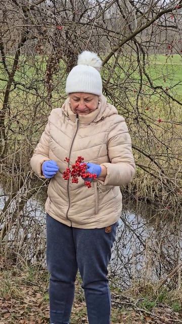 Ух и калина ! И где её собрала Соня!?