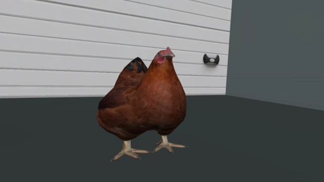 чикен и человек яйца 3