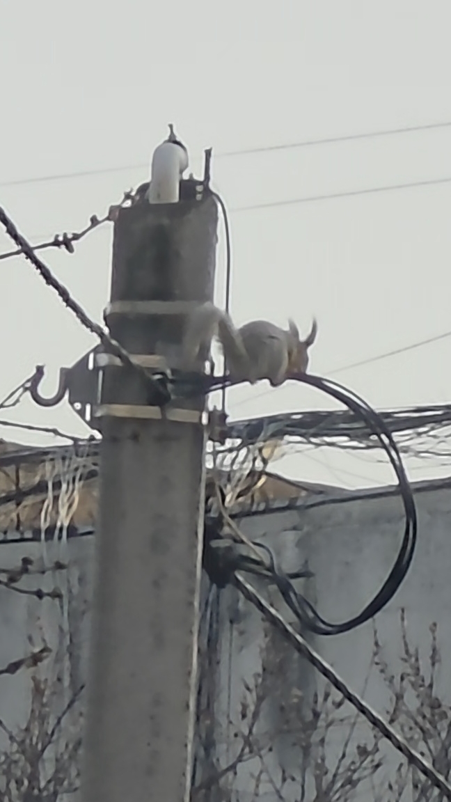 Симферополь 16 апреля 2026 #россия #крым #samsung #море #черноеморе #отдых #юг #видео #симферополь