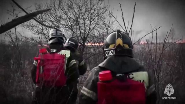 (15.04.2026) Краевые пожарные спасли от огня село Голубичное Амурского района