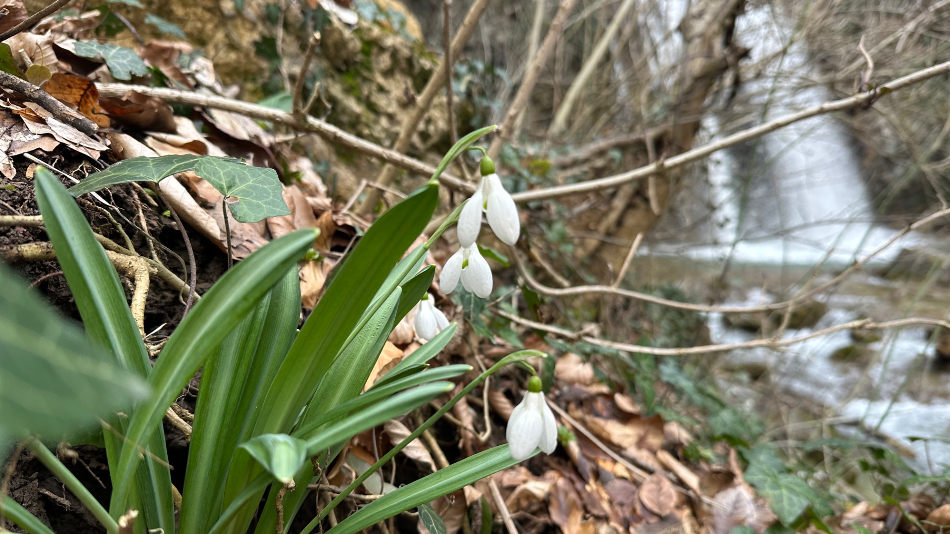 Водопад Джур-Джур река Улу-Узень Хапхальское ущелье Крым март 2026