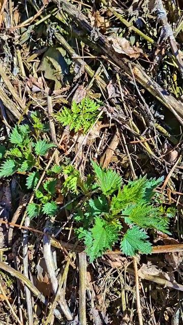  Спасибо Матушке-Природе!