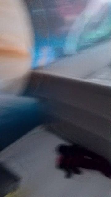 показываю 2 дуры.