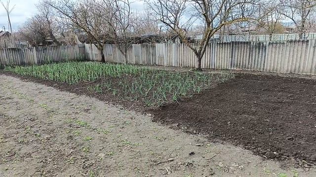 Слава богу, все хорошо🥰🥰🥰