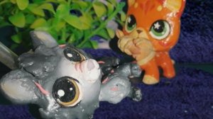 Коты воители Стань диким! 8 серия