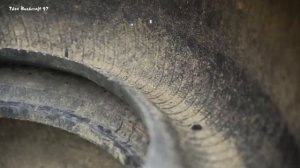 Построено 100 курятников для разведения черных кур породы Хмонг. Куплено много цыплят для разведения