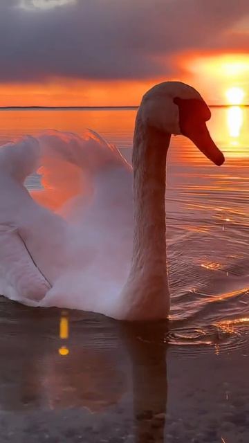 video_2026-04-16_14-32-04