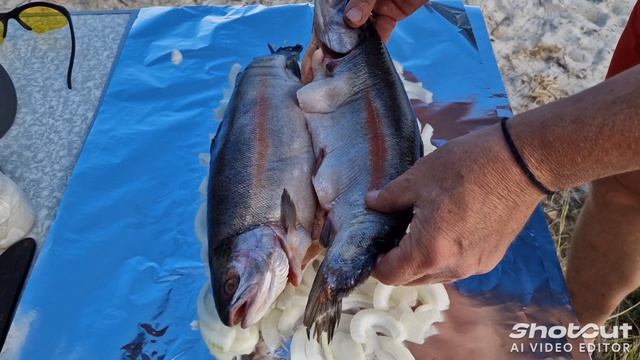 Озеро Светлое. ХМАО.