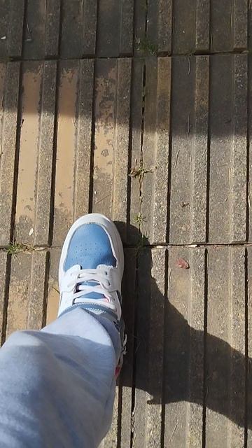 Мы гуляем в Сочи