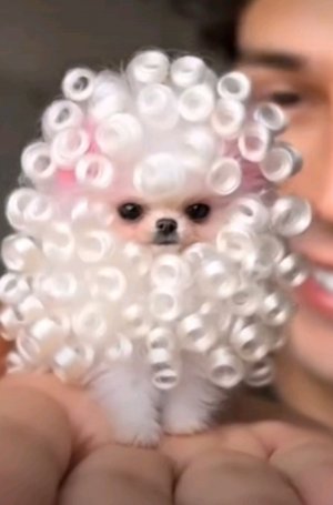 Полина клубничка