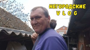НУТРИЯМ каша не нужна, подавай им траву! 14.04.26