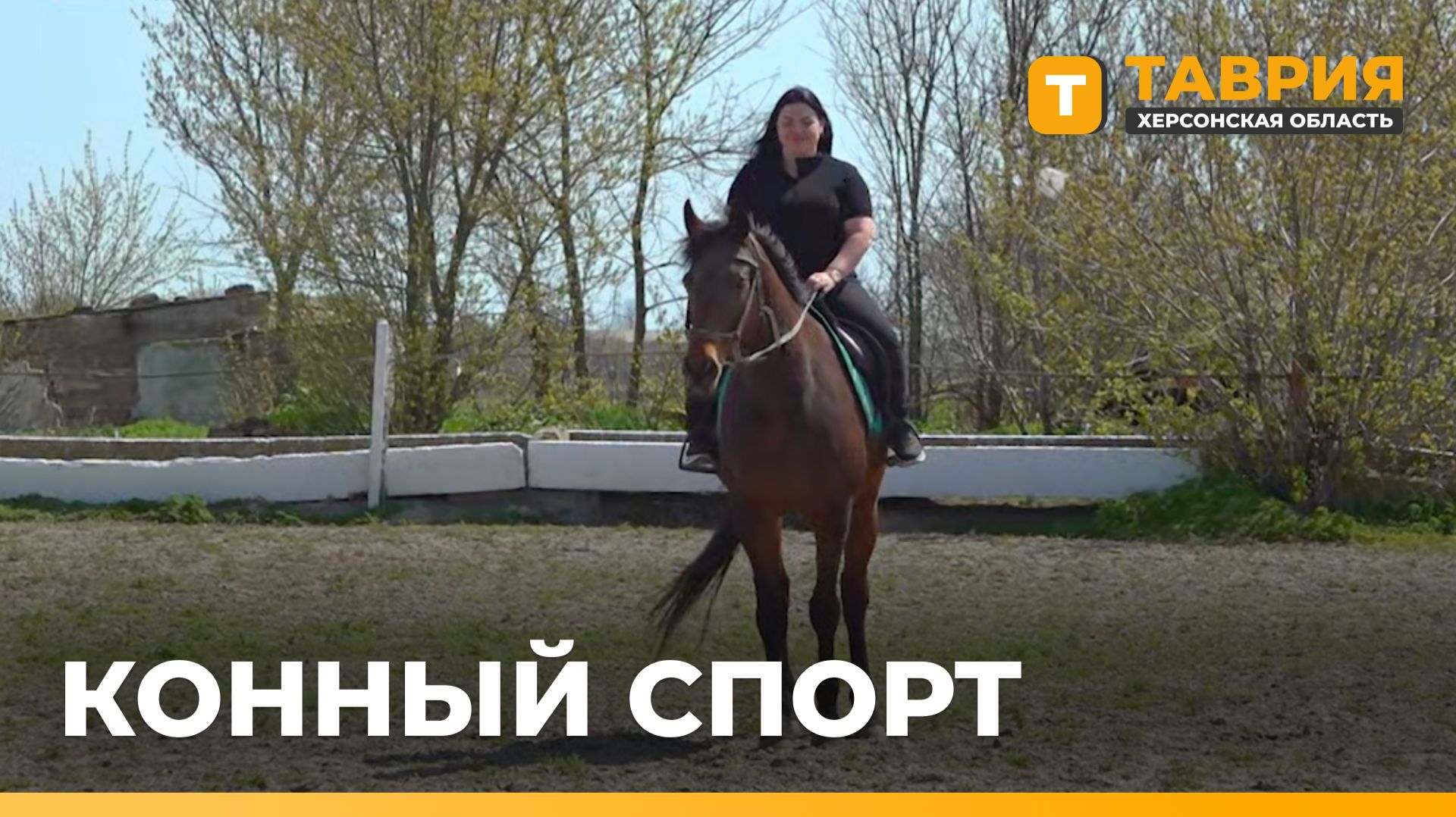 Модульную конюшню планируют построить в Новогригорьевке