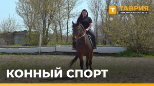 Модульную конюшню планируют построить в Новогригорьевке