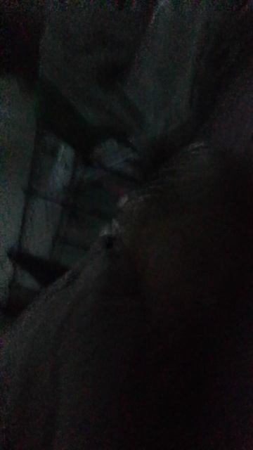 бешеная сестра бешеная сестра игра