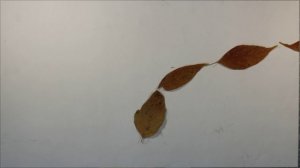 ОТКРЫТКА НА 1 ОКТЯБРЯ