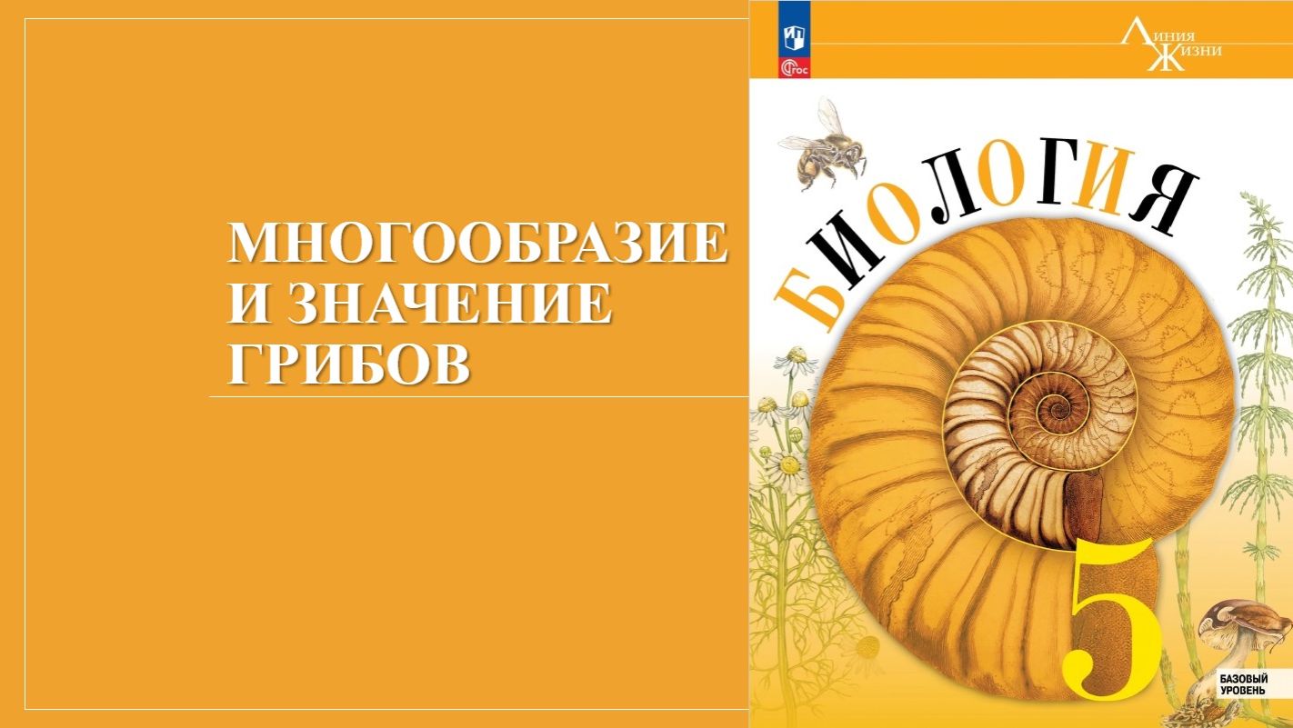 Урок 17. Многообразие и значение грибов