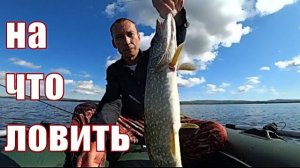 Рыбалка на щуку и окуня.