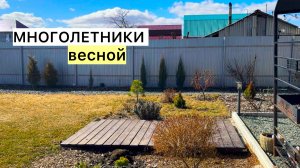 Как прошла ЗИМОВКА? Апрельская прогулка по саду!