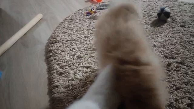 А теремок  то занят.