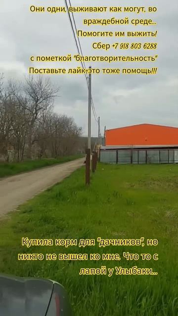 НАС107106хвостиков  1человек!