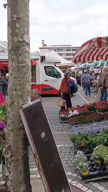 Фермерский_рынок_центр_Франкфурт_на_Майне_16_04_2026