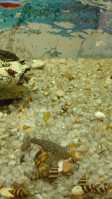 Обычные рыбные будни.