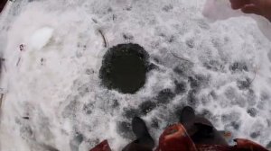 РЫБАЛКА НА ХАПУГУ ЛОВИМ НЕРЕАЛЬНОЕ КОЛИЧЕСТВО ЗУБАТЫХ ЩУК ЛУЧШАЯ ЗИМНЯЯ РЫБАЛКА 2026 НА RUTUBE