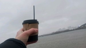 вечерок чаек