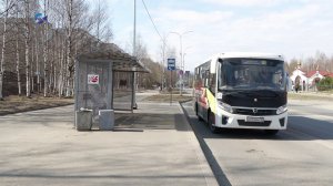 В Петрозаводске появились автобусные остановки с национальным колоритом