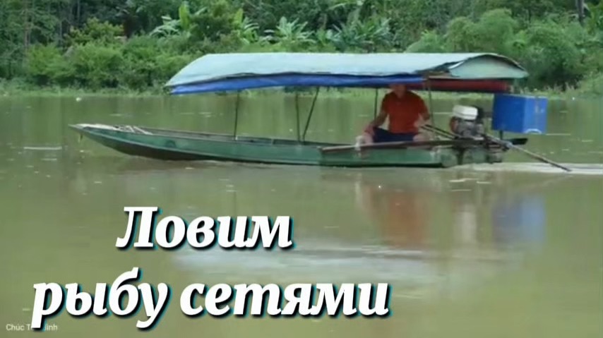 Ловим рыбу сетями в сезон дождей когда уровень воды высокий.