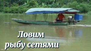 Ловим рыбу сетями в сезон дождей, когда уровень воды высокий.