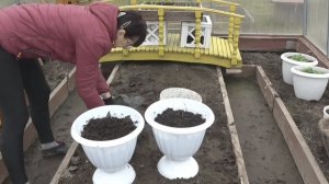 6 соток 14 апреля 2026 года. Хроника.