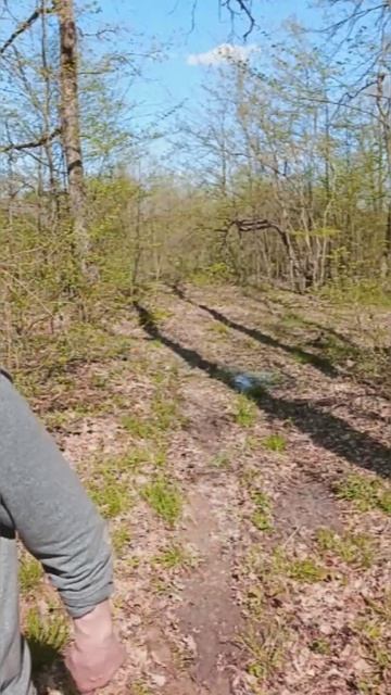 Лесная бригадаработаем с хвостом.